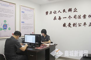 巡回法庭走進國家級市場采購貿易方式試點區 涉外商事司法保護再上新臺階