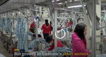 紡織服裝廠老板 哭 了 剛剛,越南出臺新勞動法 上班8小時