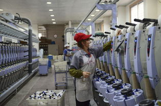 達(dá)州市統(tǒng)計(jì)局努力推動統(tǒng)計(jì)工作再上新臺階