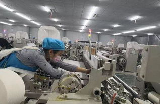 寶雞外貿總量全省第二,看看咱都出口了些啥