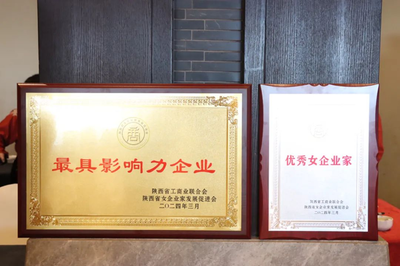 西安高新醫(yī)院榮獲“最具影響力企業(yè)” 院長(zhǎng)宋瑛獲評(píng)“優(yōu)秀女企業(yè)家”稱號(hào)